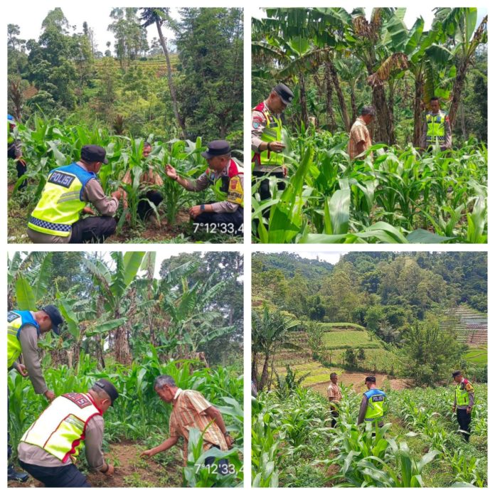 FunPic_20260326_145539599